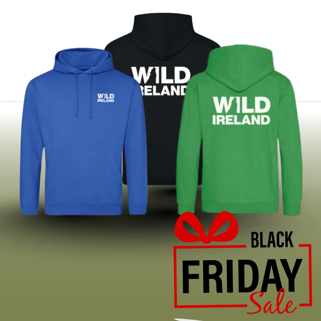 Wild Ireland branded kids hoodies